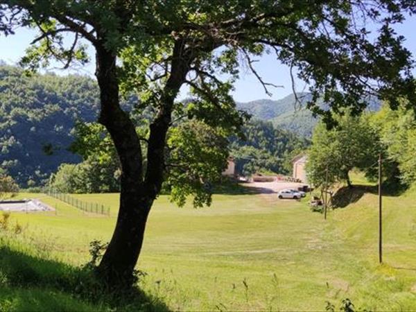 Agriturismo Sacchiafarm - foto 49917.jpg