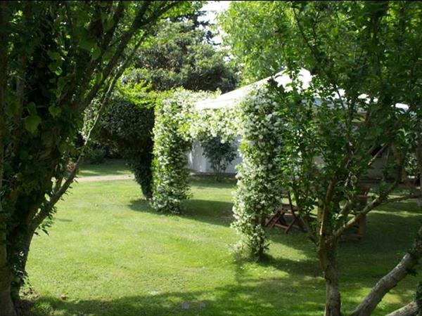 Podere Chiusa Grande - foto 49920.jpg