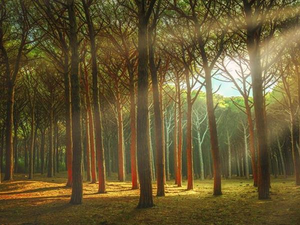 Agriturismo Club Le Cannelle - foto 49925.jpg