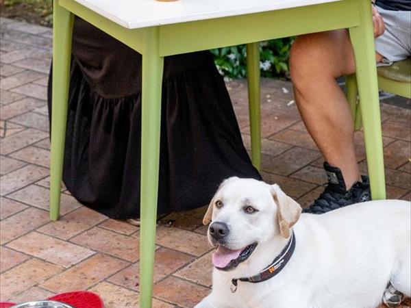 Hotel San Marco  - foto 49950.jpg