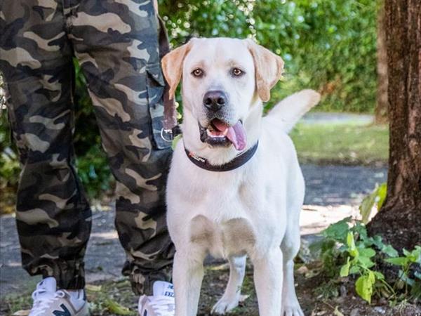 Hotel San Marco  - foto 49951.jpg