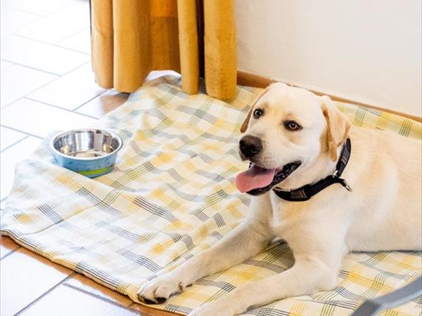 Hotel San Marco  - foto 49953.jpg