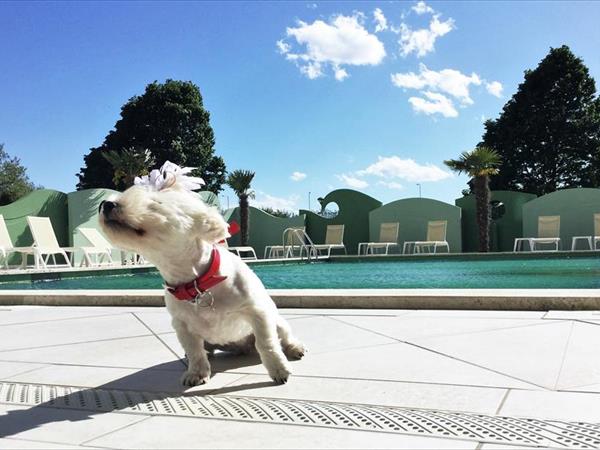 Nero D�Avorio Aparthotel **** - foto 49976.jpg