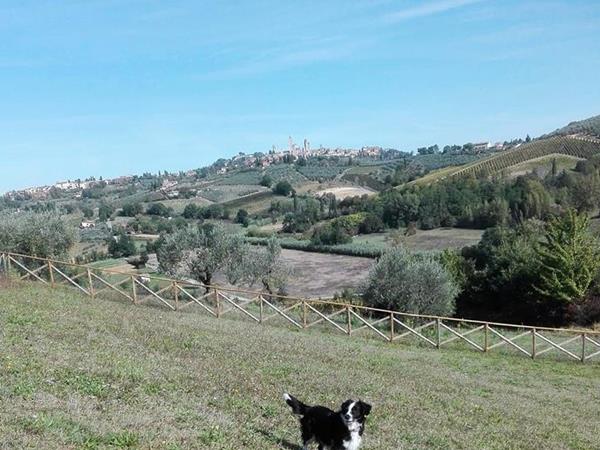 Agriturismo Poggiacolle - foto 50034.jpg