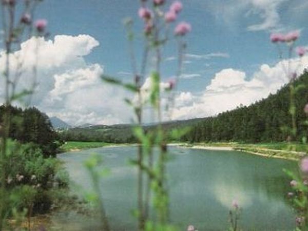 Agriturismo Casa Miramonti  - foto 784.jpg