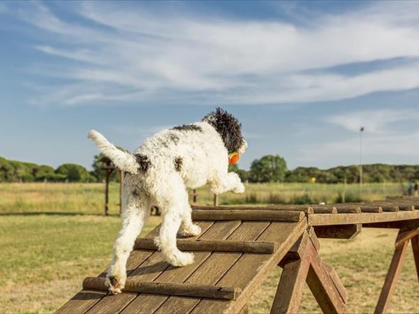 Gitavillage Club Degli Amici - foto 50117.jpg