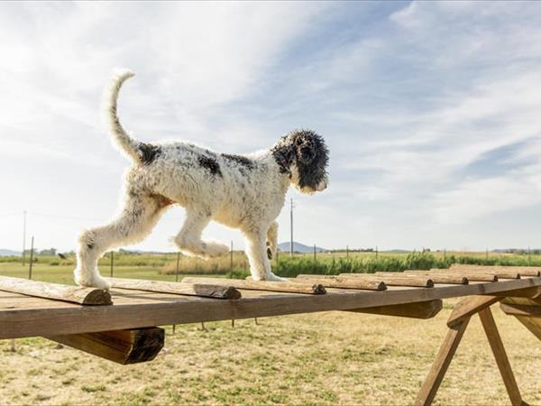 Gitavillage Talamone - foto 50147.jpg