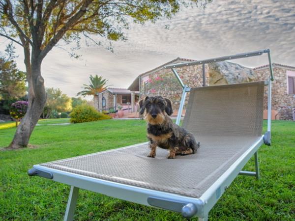 Case Vacanza Marina - Porto Rotondo  - foto 50203.jpg