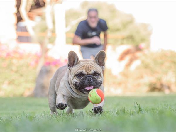 Case Vacanza Marina - Porto Rotondo  - foto 50205.jpg