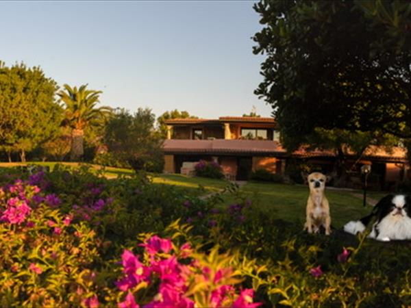 Case Vacanza Marina - Porto Rotondo  - foto 50208.jpg