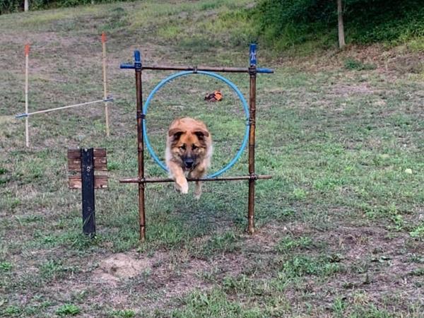 Quiet Country House - foto 50258.jpg