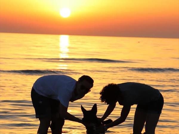 Single Fin Tuscany - foto 50268.jpg