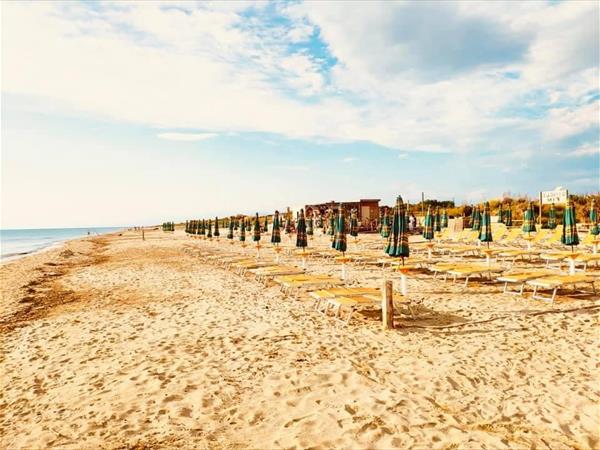 Single Fin Tuscany - foto 50269.jpg