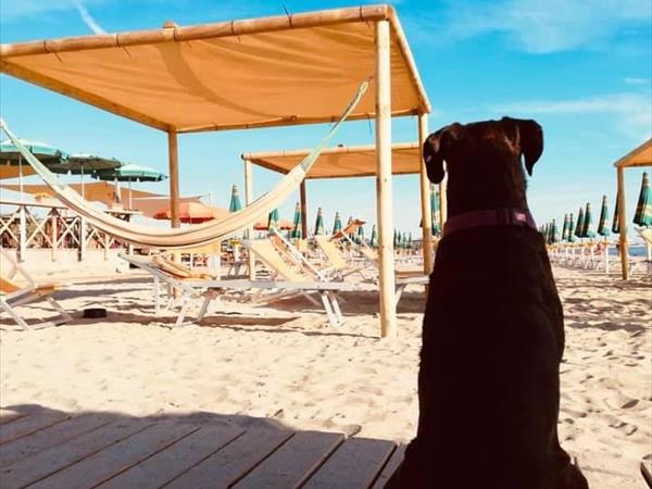 Single Fin Tuscany - foto 50270.jpg