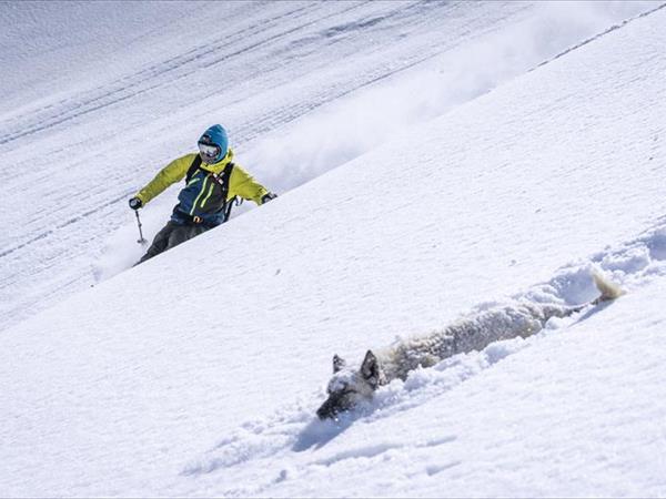 Dolomiti Camping Village & Wellness resort - foto 50312.jpg