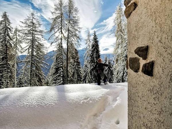 Dolomiti Camping Village & Wellness resort - foto 50313.jpg