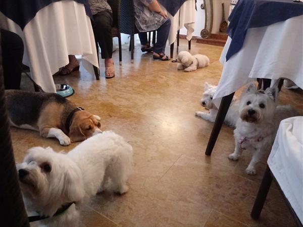 Hotel Corona - foto 50349.jpg