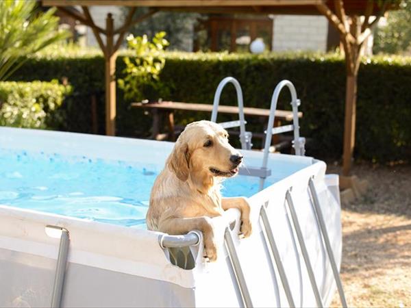 Villaggio Club degli Ulivi - foto 50427.jpg