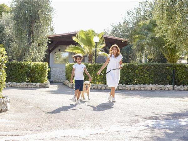 Villaggio Club degli Ulivi - foto 50428.jpg