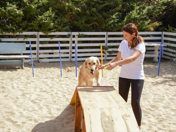 Villaggio Club degli Ulivi - foto 50431.jpg