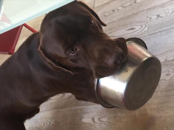 Villa i Tigli - foto 50441.jpg