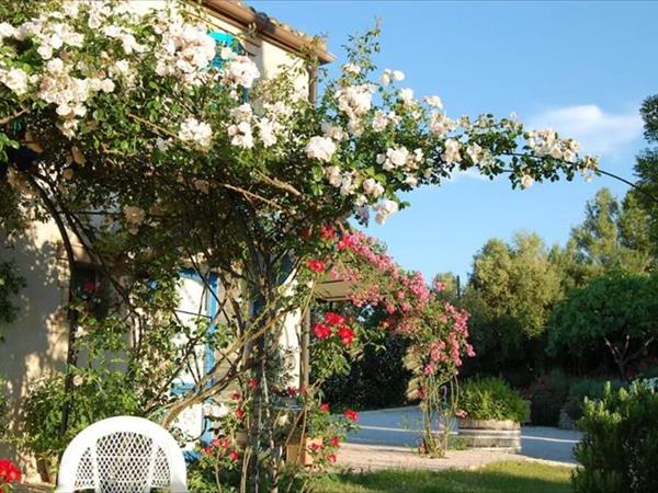 B&B Vento di Rose - foto 50500.jpg