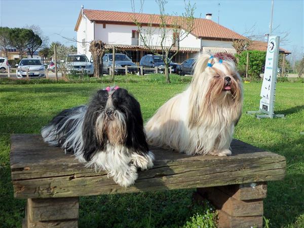 Agriturismo il Podere - foto 50565.jpg