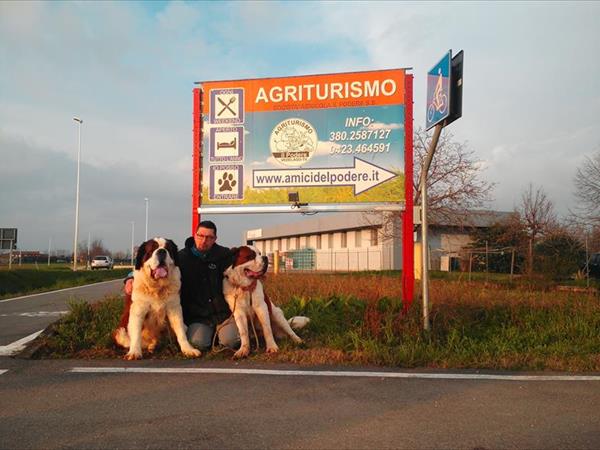 Agriturismo il Podere - foto 50566.jpg