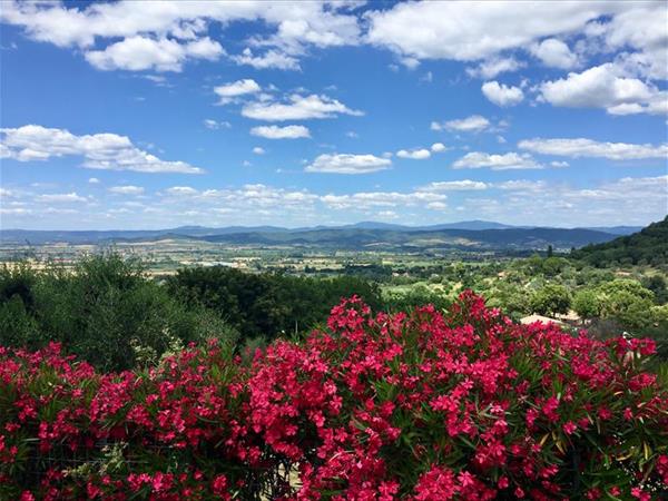 Casa Vacanze Bicchi - foto 50660.jpg