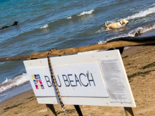 Giannella Camping - foto 50667.jpg