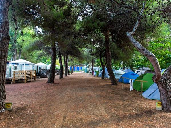Giannella Camping - foto 50669.jpg