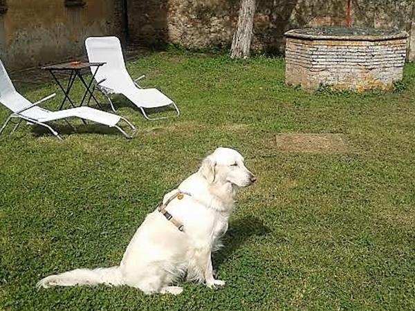 Fattorie Inghirami - foto 50767.jpg