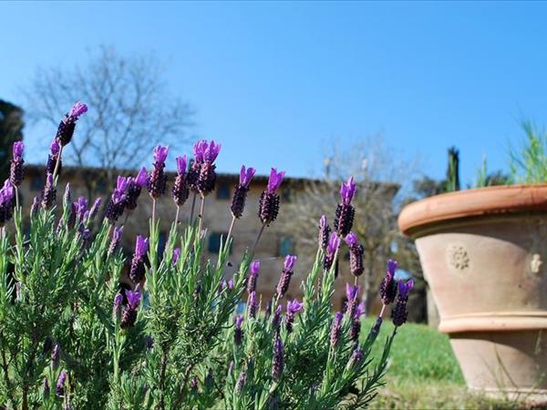 Fattorie Inghirami - foto 50768.jpg