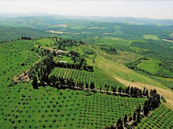 Fattorie Inghirami - foto 50769.jpg