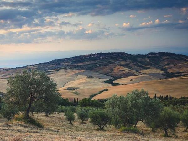 Fattorie Inghirami - foto 50774.jpg