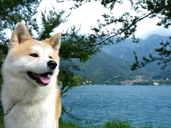 Lake Project - foto 50782.jpg