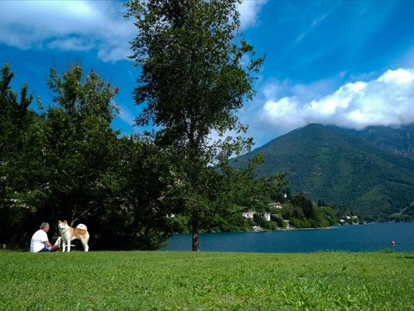 Lake Project - foto 50783.jpg