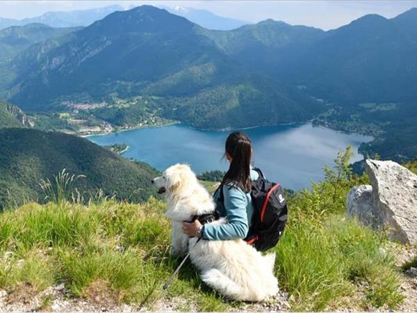 Lake Project - foto 50790.jpg