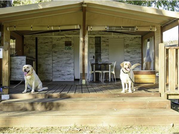 Camping Village Rocchette - foto 50854.jpg