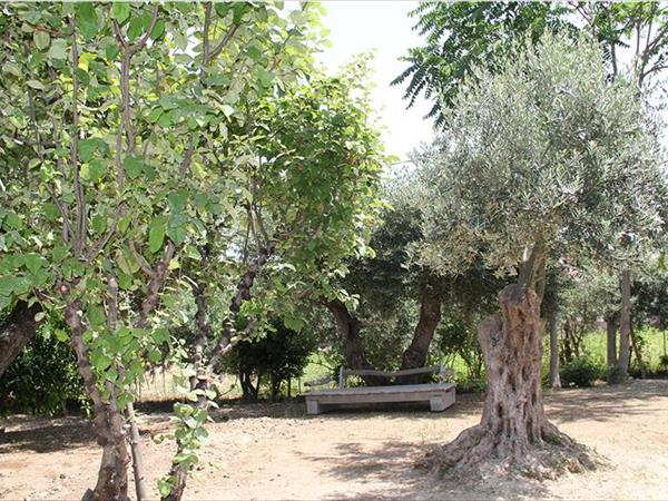 Tenuta Conte Ruggero - foto 50977.jpg