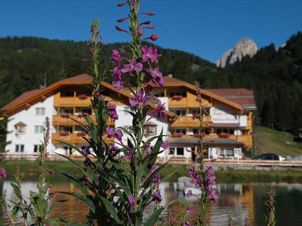 Hotel Lupo Bianco Wellness & Walking - foto 50989.jpg