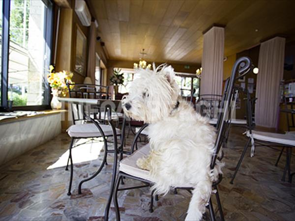 Hotel Spiaggia Marconi  - foto 51012.jpg