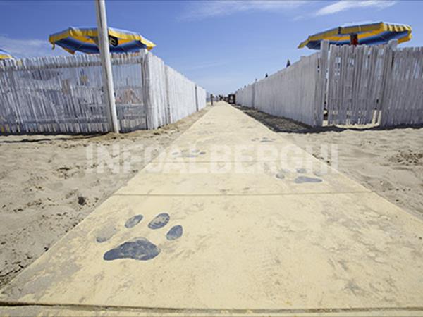 Hotel Spiaggia Marconi  - foto 51016.jpg