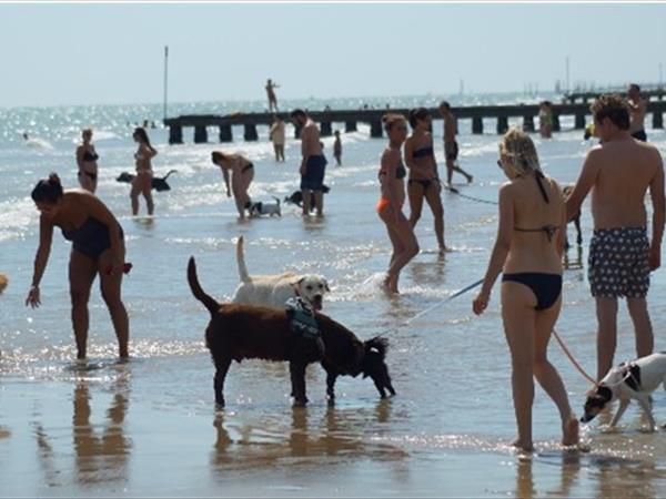 Hotel Germania - foto 51065.jpg