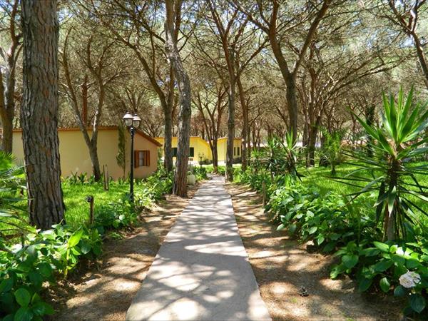 Horse Country Resort Congress & SPA  - foto 51077.jpg