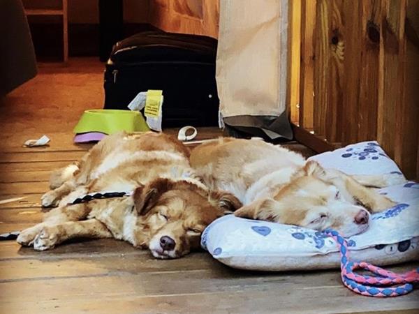 Camping Maremma Sans Souci - foto 51079.jpg