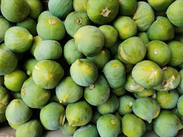 Trulli il Castagno - foto 51158.jpg