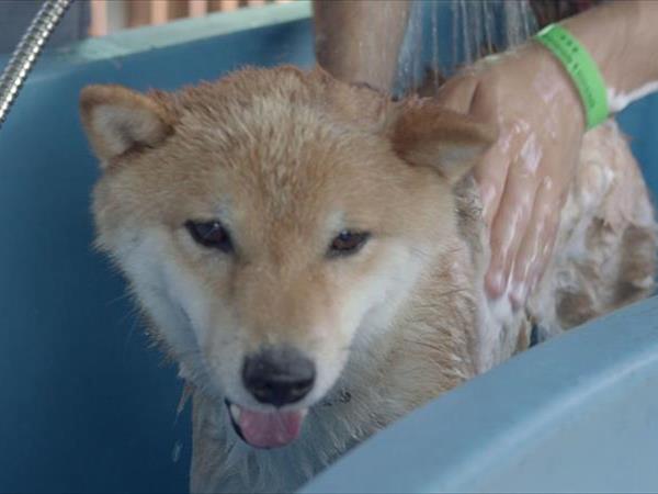 Club Hotel Promenade Universale - foto 51188.jpg