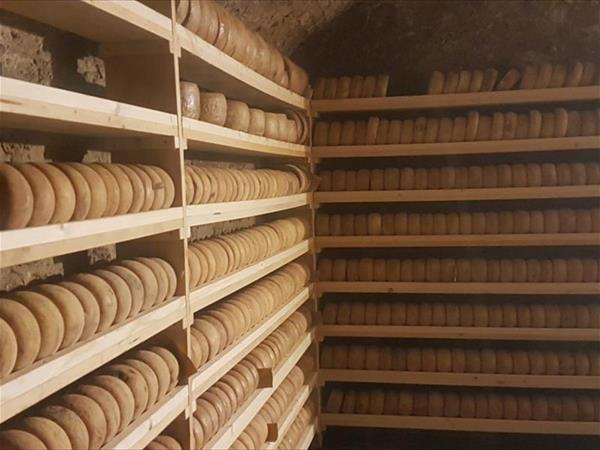 Fattoria Lischeto - foto 51240.jpg