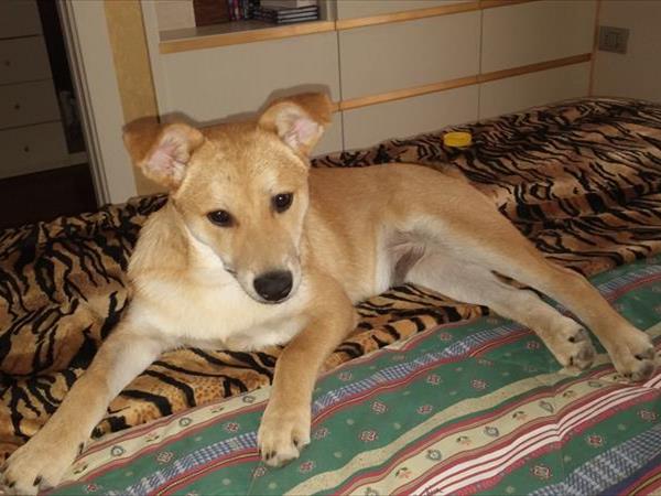 Mini-Hotel - foto 51246.jpg